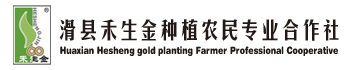 开云(中国)Kaiyun·体育官方网站-登录入口